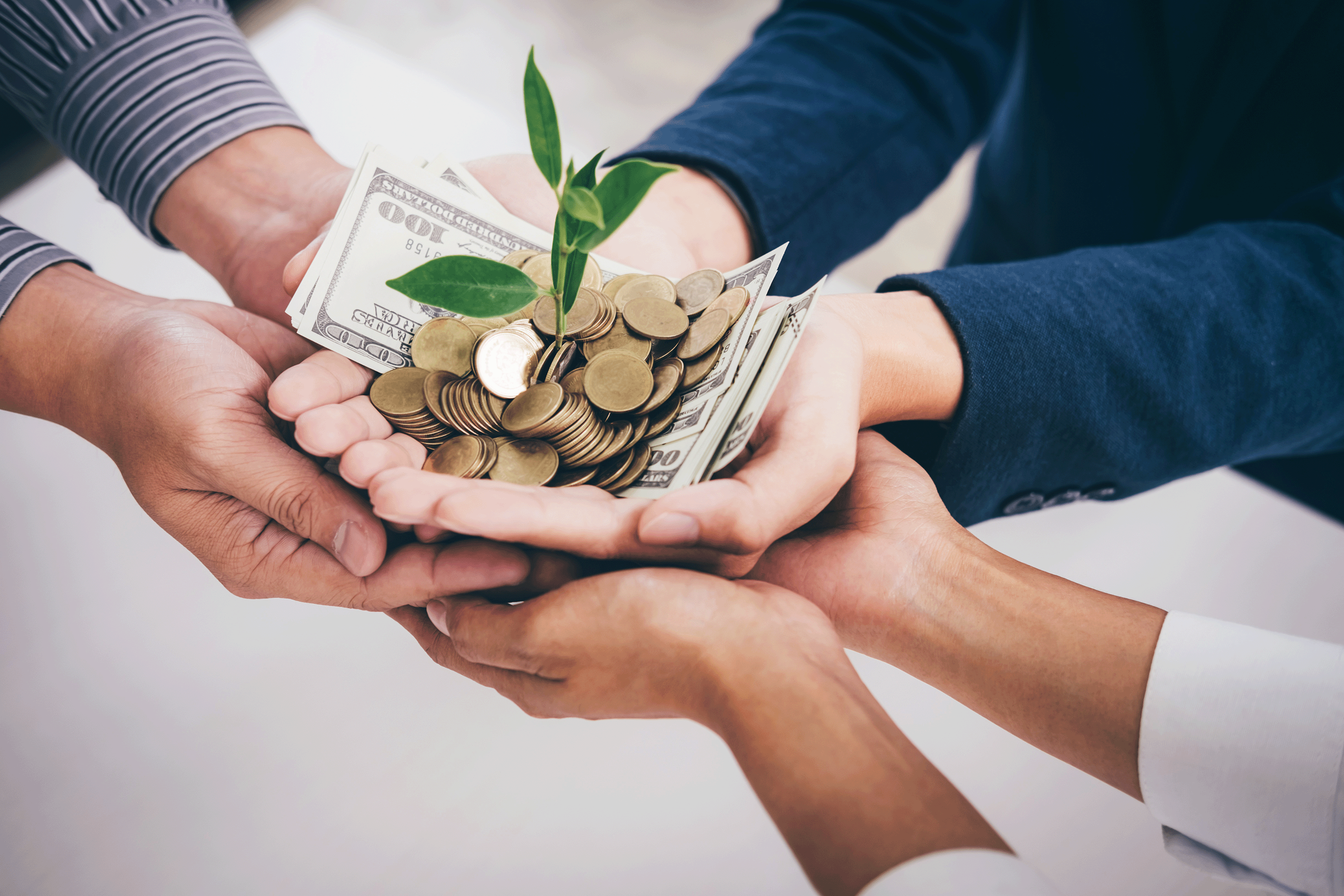 Hands holding a sprouting plant over money
