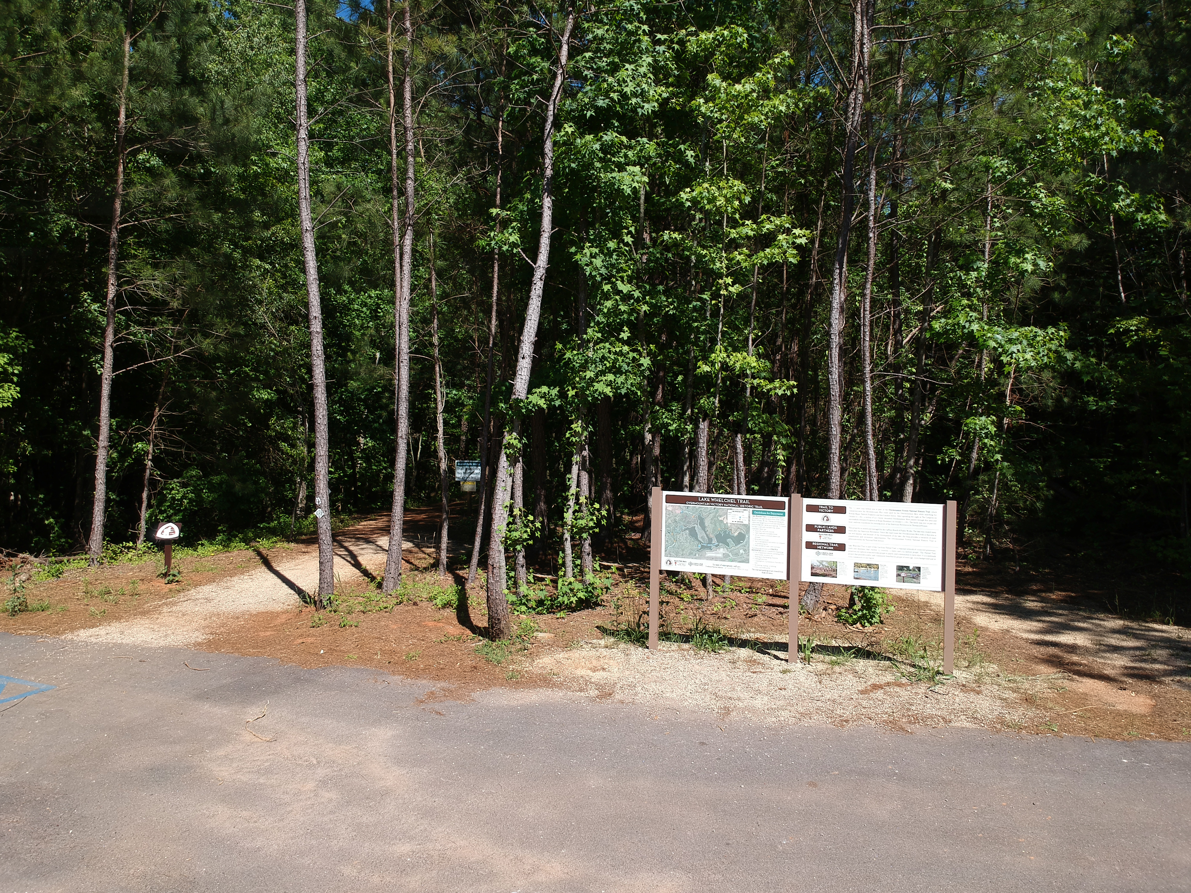 Trail through the wooded area
