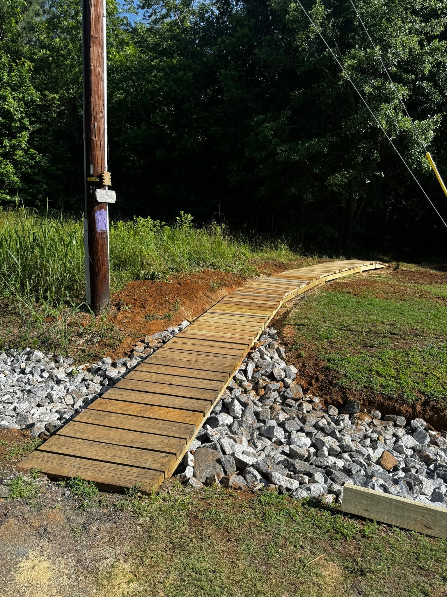 View of the trail