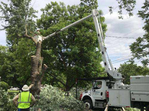 Clearing limbs from a power line