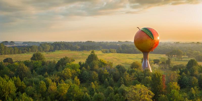 Gaffney Peachoid