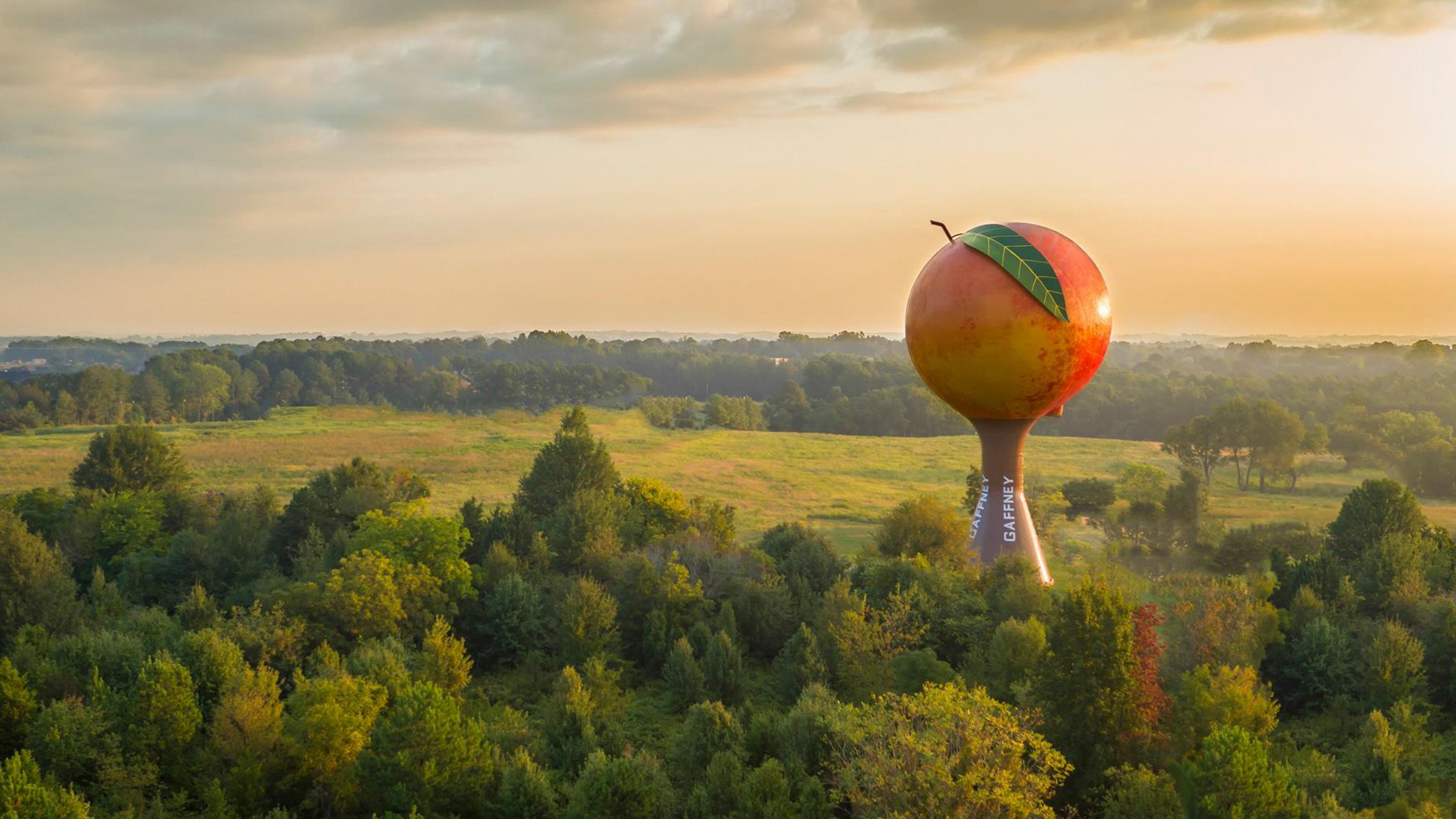 Gaffney Peachoid